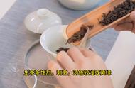 中国茶文化的瑰宝——普洱茶