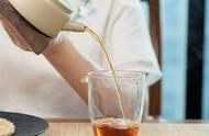 茶艺新手必看：泡茶手法全解析，让你轻松成为行家！