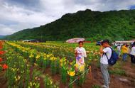 江源区第十二届松花石文化旅游节，一场文化的盛宴等你来参加