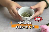 白毫银针泡茶的四大误区及其改正措施