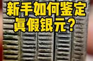 银元鉴定不求人：新手也能快速掌握鉴定技巧