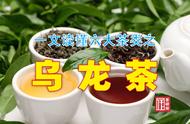 乌龙茶全解析：一篇让你全面了解六大茶类的文章