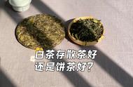 白茶收藏：散茶和饼茶，哪个更符合你的口味？