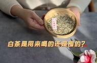 白茶：是饮品还是投资品？对于普通茶爱好者来说，家中是否有必要存储大量的茶叶？