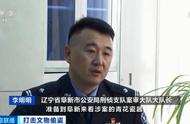 元代青花瓷重现暗网，天价喊价震动文物界，加强文物保护刻不容缓