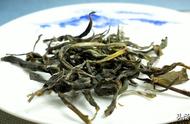 普洱茶饼茶与散茶在消费者选择上的考量因素是什么？