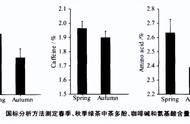 十年品茗之旅：深度探讨春茶与秋茶的不同之处