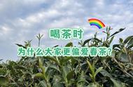 四季茶叶之争：春茶为何在众多茶叶中脱颖而出？