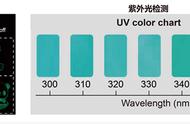 中国有机夜明珠：开启健康新篇章的“开道超车”者