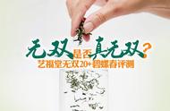 艺福堂无双20+特级碧螺春，2000元的杭州碧螺春的口感如何？