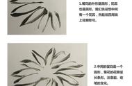 菊花画法入门：少儿国画学习指南，让你轻松成为小画家