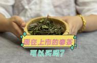 春茶销售时间的不同步性：为何有的3月份就开卖了，有的5月份才上市？