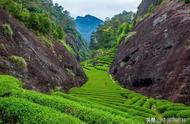 中国十大名茶茶山，邀您共享一场轻奢茶人之旅！