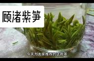 茶文化与绿茶：品味生活的艺术