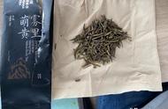 蒙顶黄芽的新味道：「雾里萌黄」第八天的试茶记