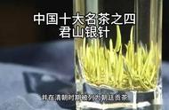 茶艺师推荐：君山银针的冲泡技巧与品鉴方法