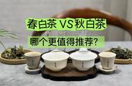 春茶与秋茶：老茶客分析买白茶时的3大优势