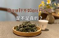 白毫银针和白牡丹，哪个更适合新手饮用？