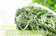 茶百科带你了解君山银针：一种特别的茶叶