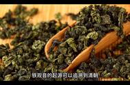 茶叶知识新探索：铁观音的制作过程