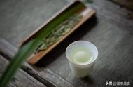 专家解读：夏天喝红茶和绿茶的区别，你真的了解吗？