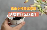 正山小种和金骏眉，哪个更能打动你的味觉？