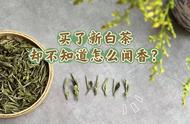 新白茶的品鉴技巧：专业高手的6步闻香法全包含