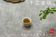 那些能让你的味蕾感到惊喜的武夷岩茶品种