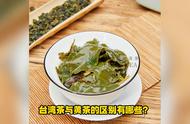 台湾茶与黄茶的深度探讨：茶叶知识的新领域