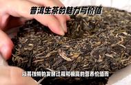 茶知识：普洱茶的魅力与价值的全面探讨