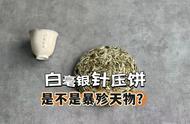 好茶真的可以不用压饼吗？