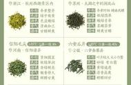 48种名优绿茶品种大全：茶友们的对比收藏指南