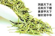 20位制茶高手齐聚首届“君山银针”岳阳黄茶制茶大师赛，谁能问鼎桂冠？