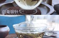 云南大白毫与福鼎白毫银针：茶叶文化的碰撞