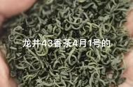 绿茶中的“香茶”系列：一次全新的解读