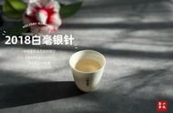 白毫银针保存之道：4个细节让你轻松收获好白茶，不再走冤枉路