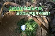 新手泡白茶：白毫银针价格贵，如何冲泡才能不浪费？