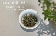 白茶白毫银针，早期饮用才是品鉴之本？茶界老饕的独家观点