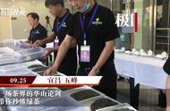 绿茶大探索：一场茶界的华山论剑