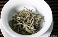 白毫银针：绿茶，还是发酵过的茶类？