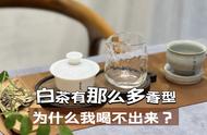 白茶真的有巧克力的味道吗？解析白茶四大基本香型的独特魅力