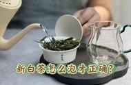 新白茶味道让人难以忍受？5个泡茶技巧让你重新认识它的魅力！