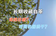 白茶新手攻略：了解“纯日晒”和“机器烘干”的特点，轻松选购白茶