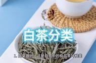 白茶种类分析：全面理解白茶的主要分类