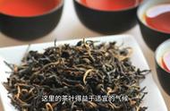 祁门红茶：中国传统的味道，现代品质的体验