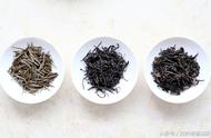 老杨说茶：黄茶与国家标准的深度对话