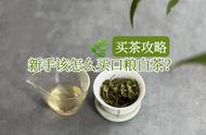 双十一白茶购物手册：新手入门，如何买到性价比超高的口粮茶？