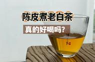 冬天喝茶，陈皮白茶是你的最爱？看完你就知道它的口感