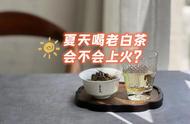 夏季饮茶小贴士：老白茶的冷泡、热泡和煮茶哪个更适合？