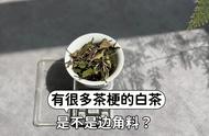 白茶的品味之旅：叶片大、茶梗粗的白茶为何更甜？